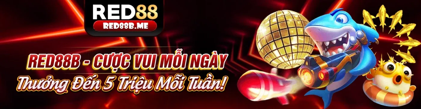 Hướng dẫn chơi Xóc Đĩa tại xocdia info 2026